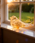 The Pocket Glass Lovebird