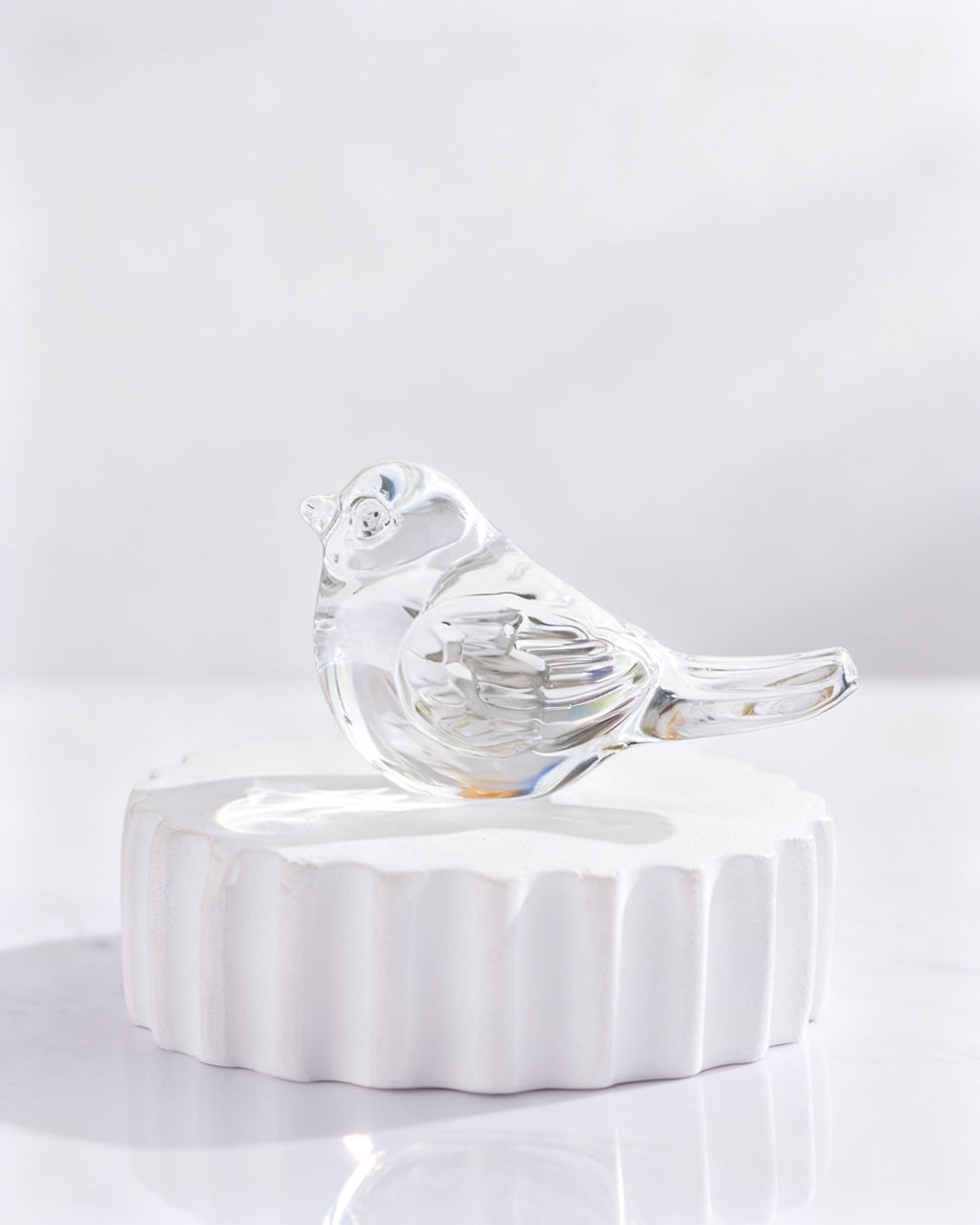 The Pocket Glass Lovebird