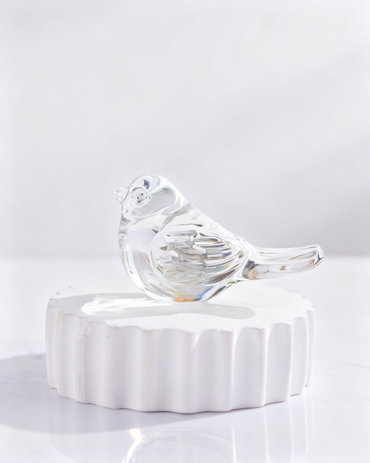 The Pocket Glass Lovebird