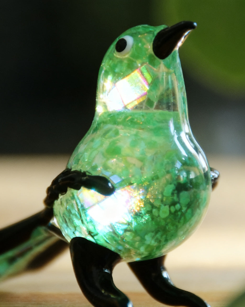 The Glass Robin
