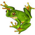 Last Day - Frog - Wooden Jigsaw Puzzle