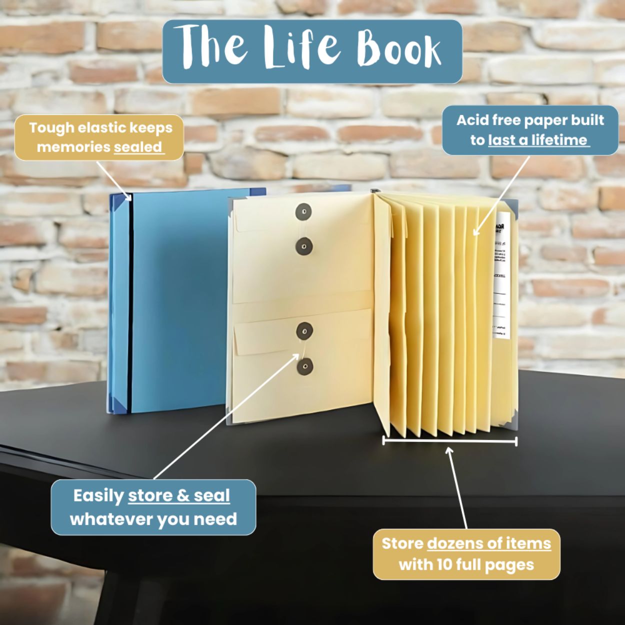 The Life Book Document Organizer - Complete Organization System + 4 FREE Bonuses (PT)
