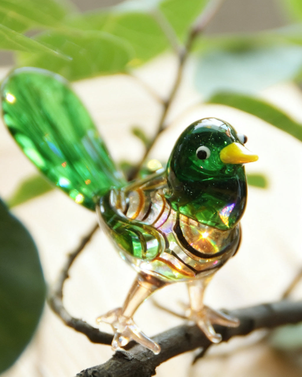 The Glass Finch - Green